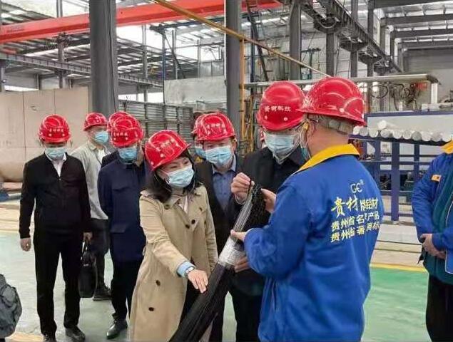 貴陽市常委、市工商聯(lián)、廣東總商會一行到我廠調(diào)研
